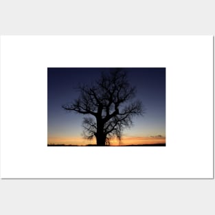 Kansas colorful Sunset with a Tree Silhouette out in the country Posters and Art